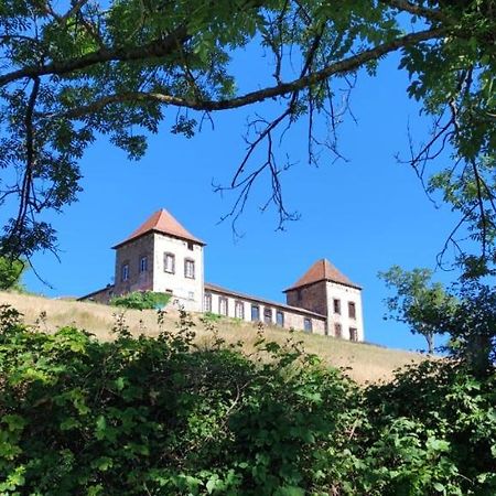 Chateau De Gorze Germolles-sur-Grosne Exterior foto